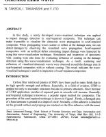 Full-Field Damage Detection System for Composite Structures Using Pulse-Laser Generated Lamb Waves