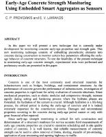 Early-Age Concrete Strength Monitoring Using Embedded Smart Aggregates as Sensors