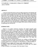 Fatigue Testing of a Smart Composite Patch